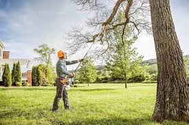  Chase, PA Tree Services Pros